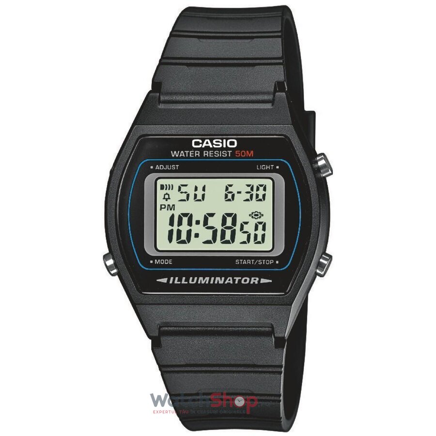 Ceas Barbatesc Clasic Casio Gri COLLECTION W-202-1A Quartz Original cu Comanda Online