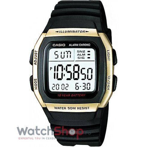 Ceas Casio Sport Barbatesc YOUTH W-96H-9A Gri Quartz cu Comanda Online