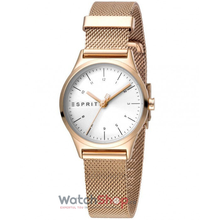 Ceas Casual ESPRIT ESSENTIAL MINI ES1L052M0075 Argintiu de Dama Original cu Comanda Online